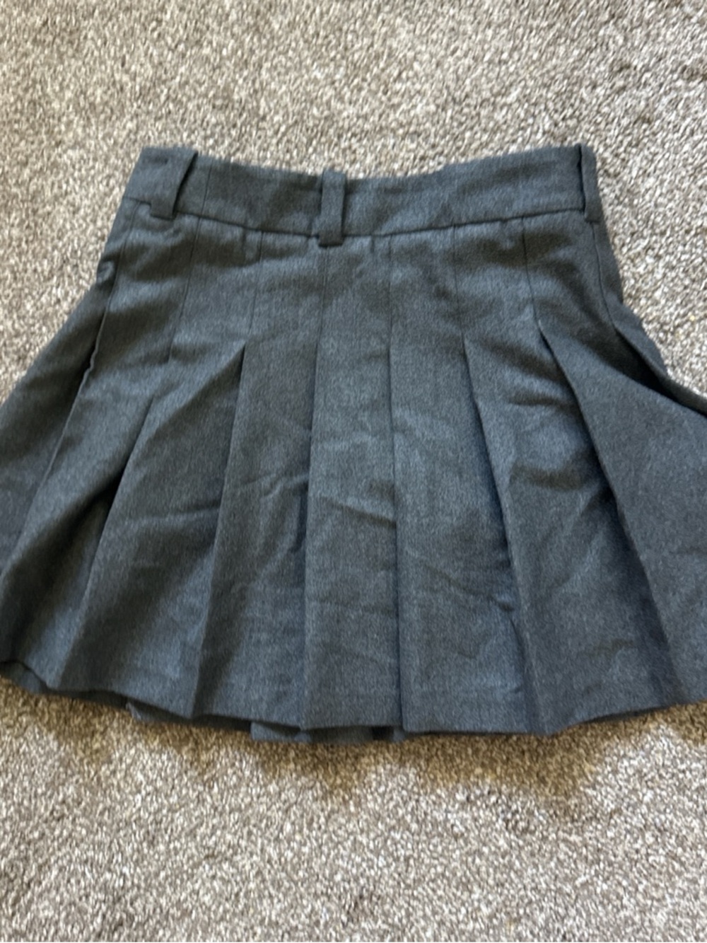 Aritzia Charcoal Pleated Mini Skirt